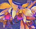 Orchid version 2