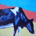 Finally%20Cows%203 (thumbnail)
