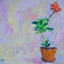 J%27s%20Geranium (thumbnail)