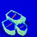 Three%20Little%20Boats (thumbnail)