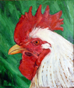 Rooster, Chicken, Poultry -  Painting