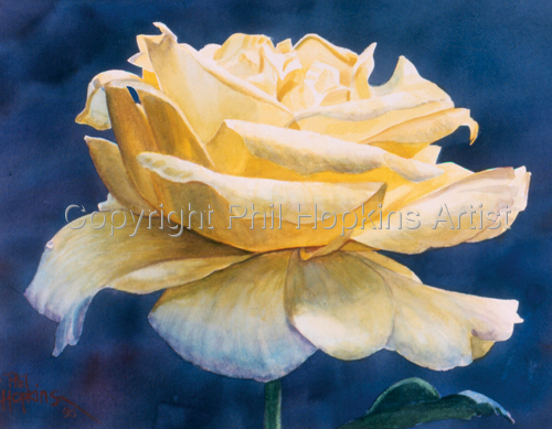Painting-Floral-Yellow Rose