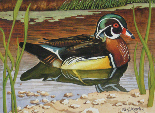 Painting-Landscape-Wood Duck