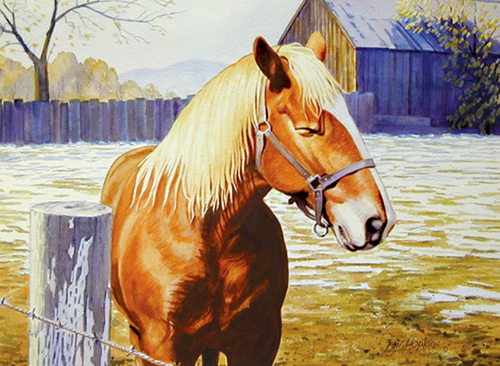 Painting-Animals-Farmyard Pony