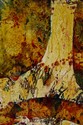 Well%20Rooted (thumbnail)