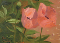 Tete%20a%20Tete%2C%20poppies (thumbnail)