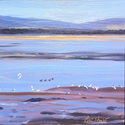 Shore%20Birds (thumbnail)