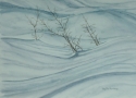 Snow Shadows