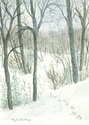 Deep Winter
