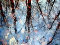 Reflections 1