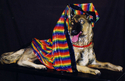 Sculpture--Fiberglass-FigurativeUndercover Cop (German Shepherd)