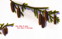 Drawing--Ink-BotanicalThe Emotional Pine Tree