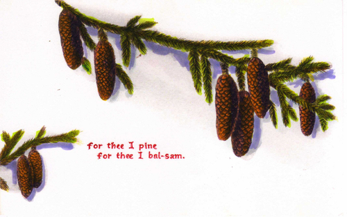 Drawing-Botanical-The Emotional Pine Tree
