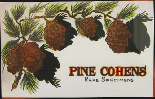 Drawing-Political-The Pine Cohens