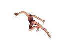 Photography--Digital-FigurativeFlyer five