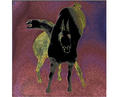 Photography--Digital-AnimalsGhostworld var.3
