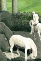 Digital Art--All-AllegoricalWhite Horse Riff #1