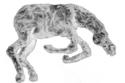 Photography--Black & White-AnimalsFour