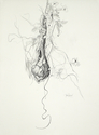 Nest 1