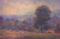 Painting--Oil-ImpressionismFields in the Afternoon