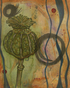 Hope Hope (thumbnail)