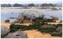 Paul Mordetsky - Seascape Painting landscape, seascape, mordetsky, psychological, metaphor - Seascape Painting