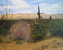 Saguaro Vista Saguaro%20Vista (thumbnail)