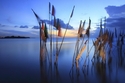 Photography--Digital-LandscapeFlags