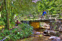 Photography--Digital-LandscapeRiver Fishing