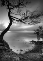 Photography--Digital-SeascapeToco Dawn