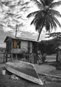 Photography--Digital-LandscapeBeach Camp - Tobago