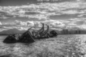 Photography--Digital-LandscapeSunken Vessel 1