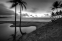 Photography--Black & White-SeascapeGuyama river 2 Toco