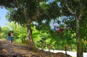 Photography--Digital-PhotojournalismCountry life