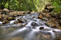 Photography--Digital-LandscapeRapids