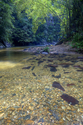 Photography--Color-Nature3 Pools