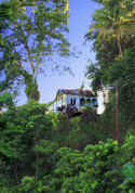 Photography--Digital-LandscapeForest house Tobago