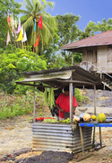 Photography-Country Vendor