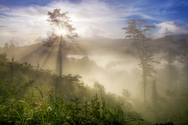 Photography--Digital-LandscapeMorning Mist