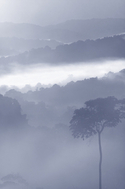 Photography--Digital-LandscapeGrey Mist