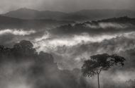 Photography--Digital-LandscapeMisty Hills