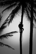 Photography--Black & White-PhotojournalismA Days Work 2