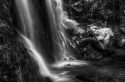 Photography--Black & White-NatureArgyle2