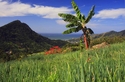 Photography--Digital-LandscapeCamron hill