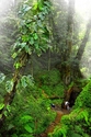 Photography--Digital-LandscapeWash day