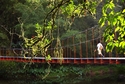 Photography--Digital-LandscapeCountry bridge