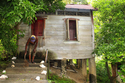 Photography--Digital-PhotojournalismMorning Chores