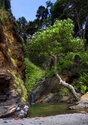 Photography--Digital-LandscapeSecret pool