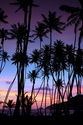 Photography--Digital-LandscapeMayaro sunrise