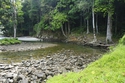 Photography--Digital-LandscapeGreen Days 